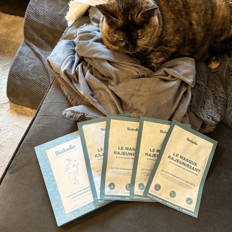 Sachets de masques visage Biobelle sur un canapé, un chat à l'arrière-plan